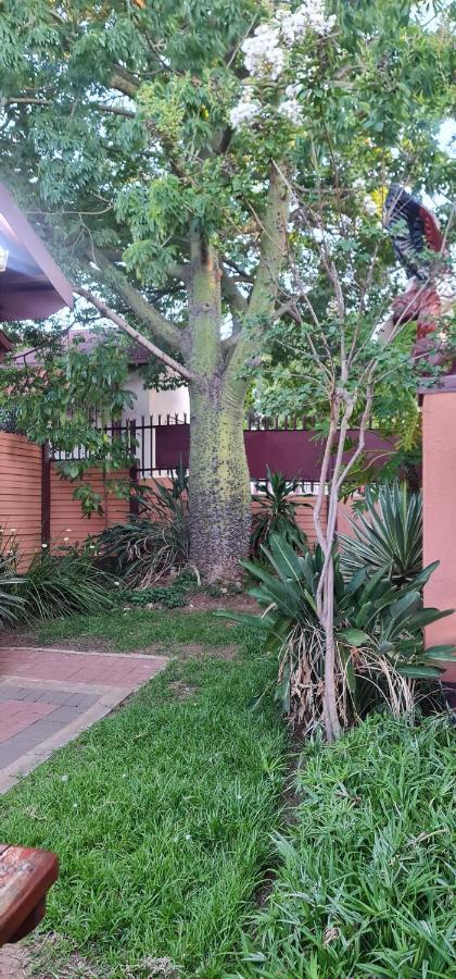 My House Guest House Pretoria-Noord Buitenkant foto